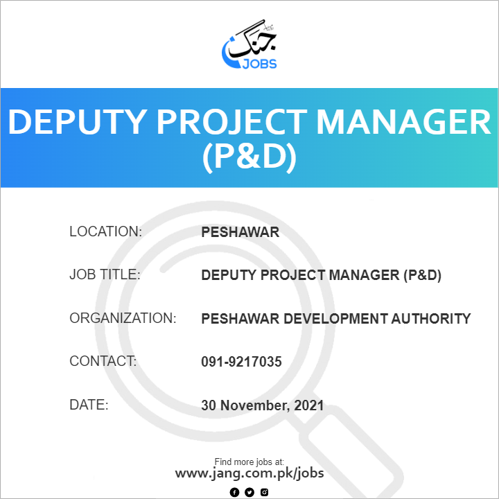 Deputy Project Manager (P&D)