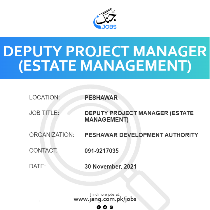 Deputy Project Manager (Estate Management)