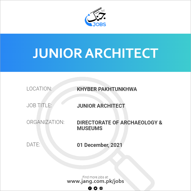 Junior Architect