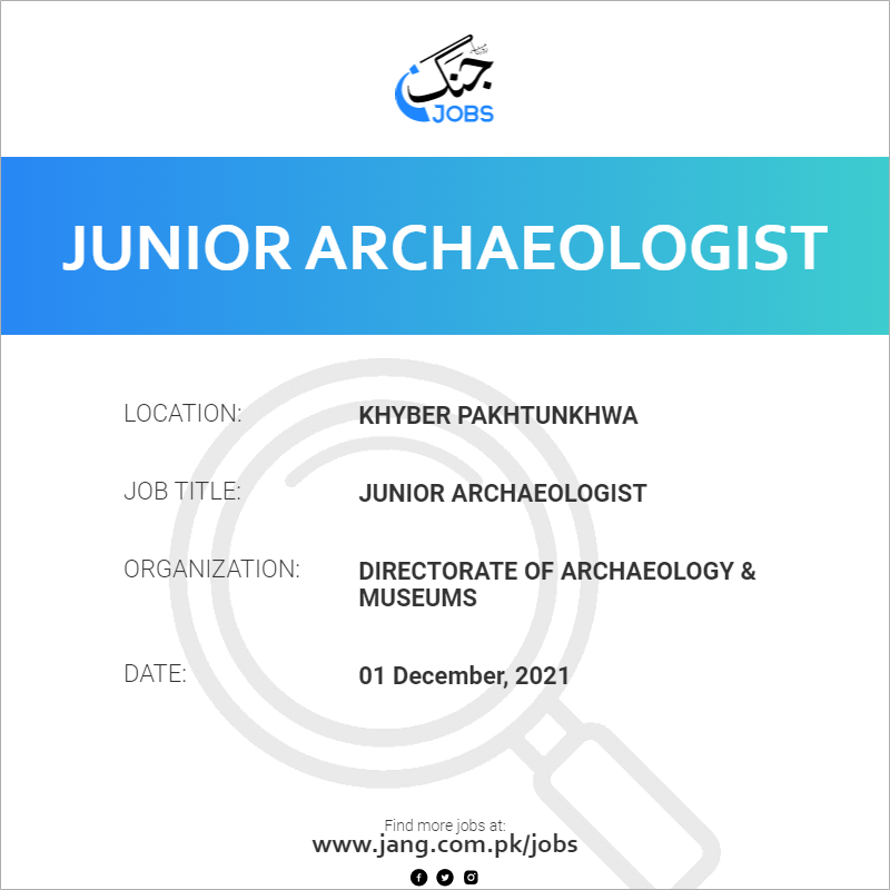 Junior Archaeologist 