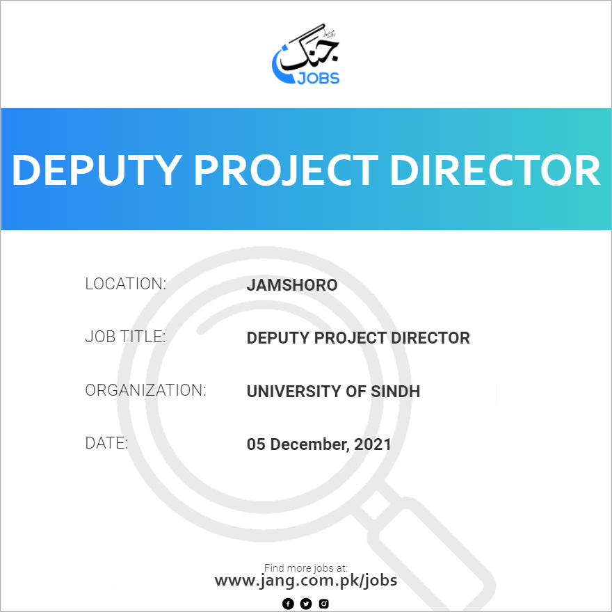 Deputy Project Director