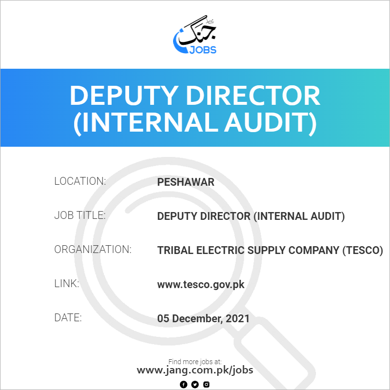 deputy-director-internal-audit-job-tribal-electric-supply-company