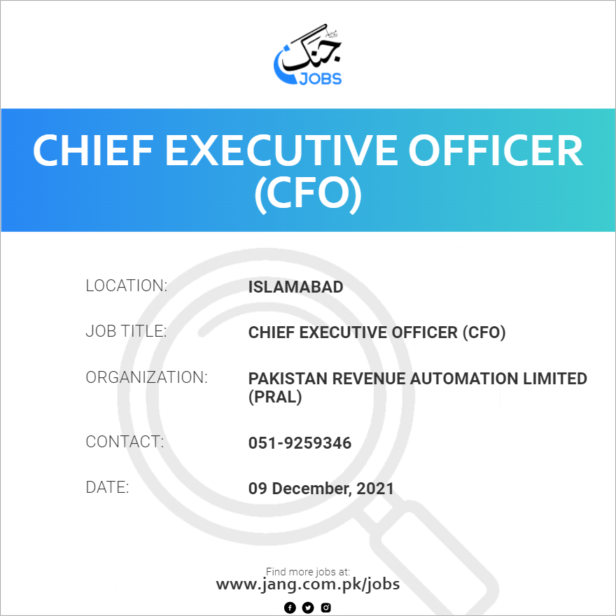 Chief Executive Officer (CFO)