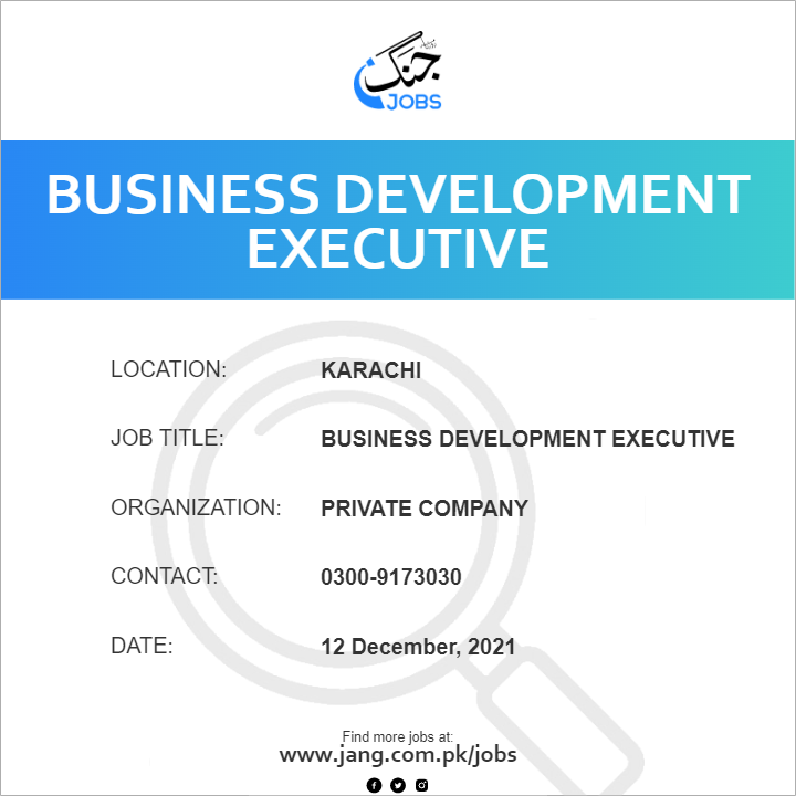 Business Development Executive