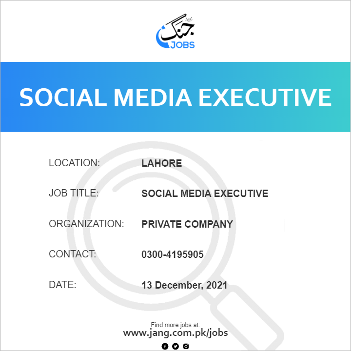 Social Media Executive