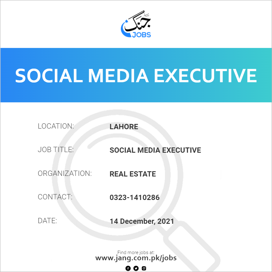 Social Media Executive