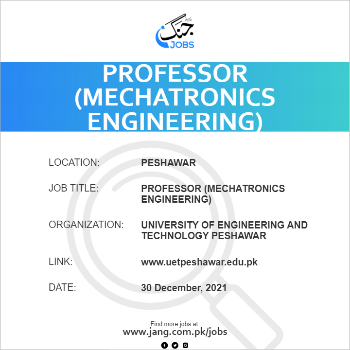 Professor (Mechatronics Engineering)