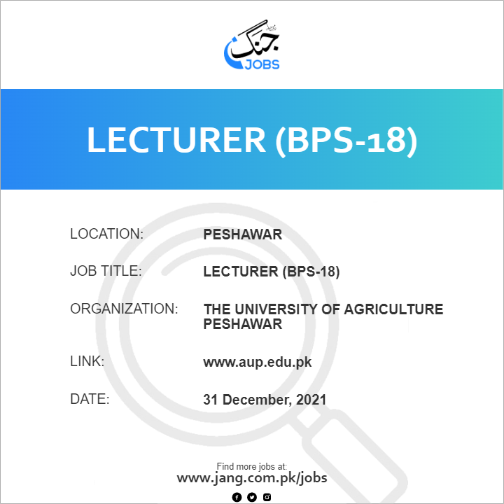 Lecturer (BPS-18)