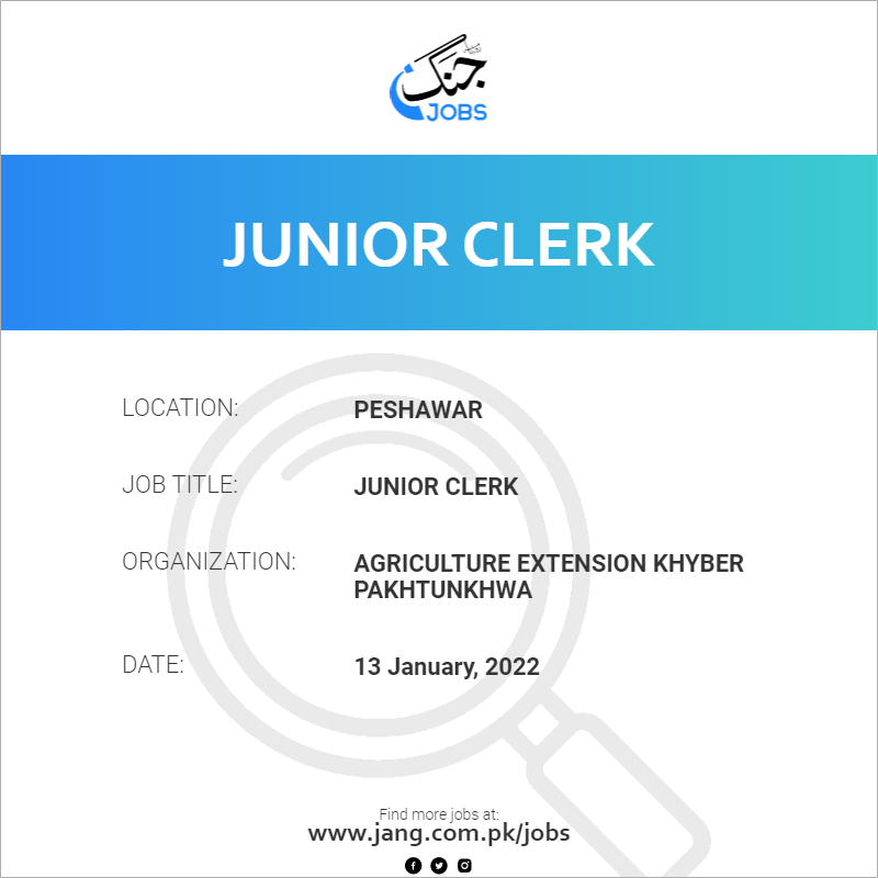 Junior Clerk