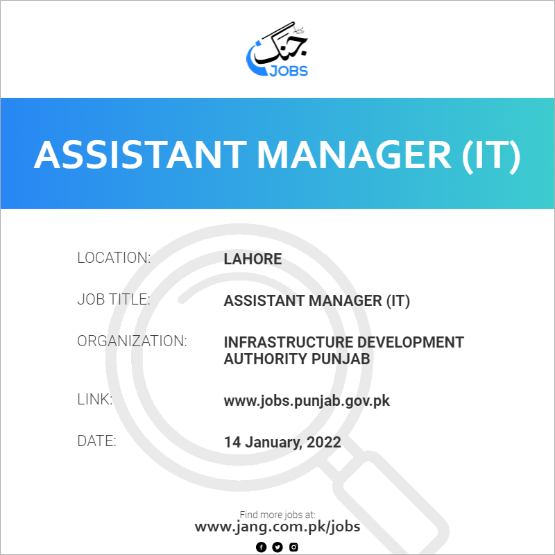 Assistant Manager (IT)