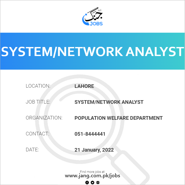 System/Network Analyst