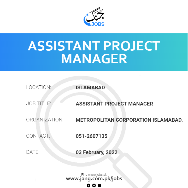 Assistant Project Manager
