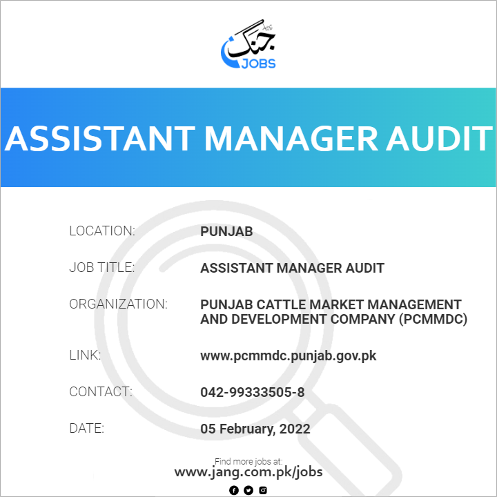 Assistant Manager Audit