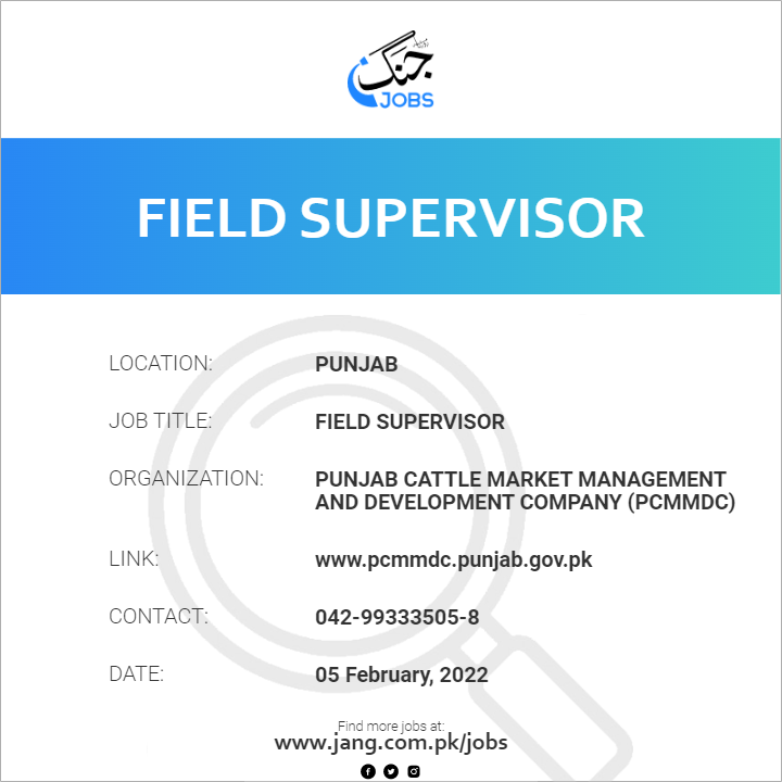 Field Supervisor