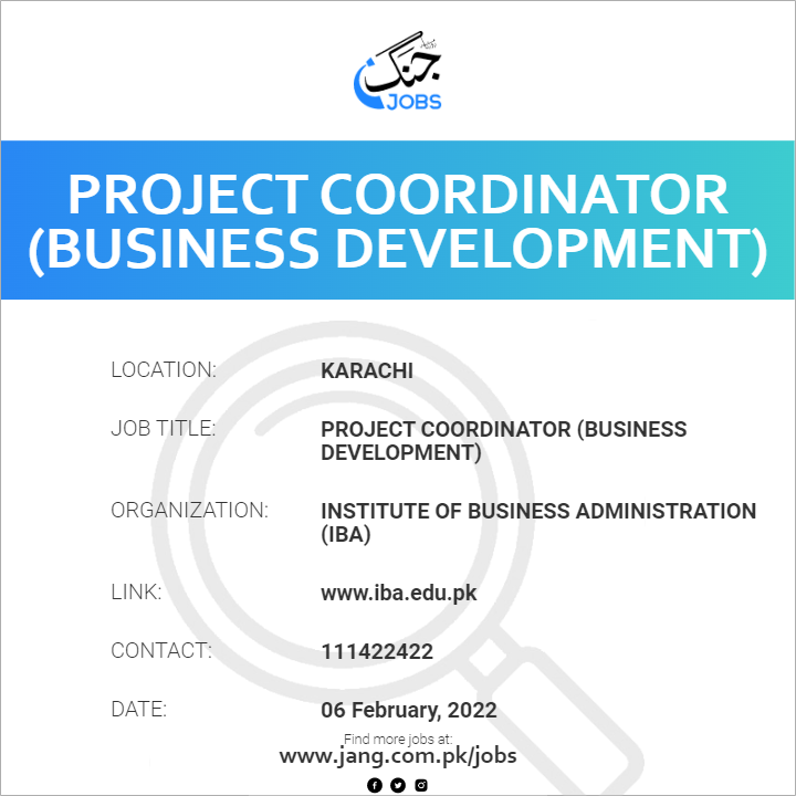 project-coordinator-business-development-job-institute-of-business