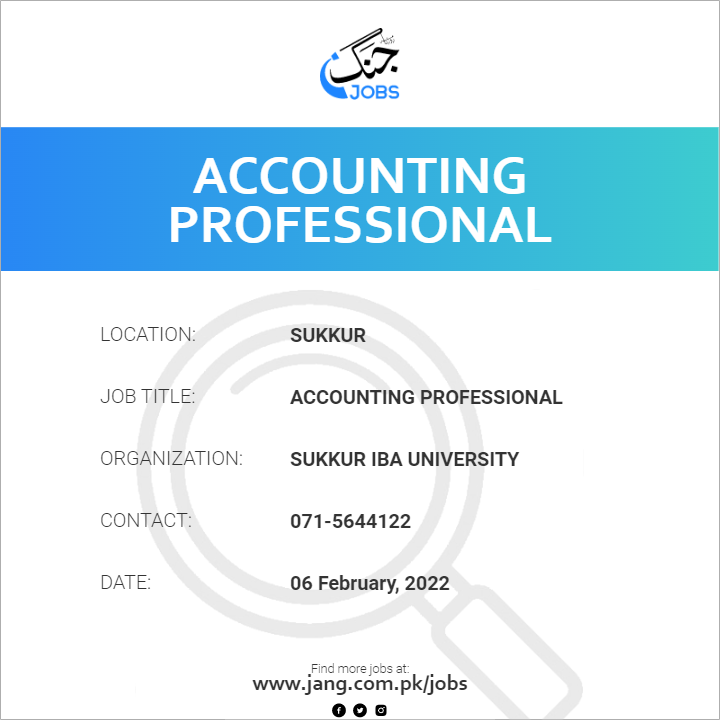 Accounting Professional