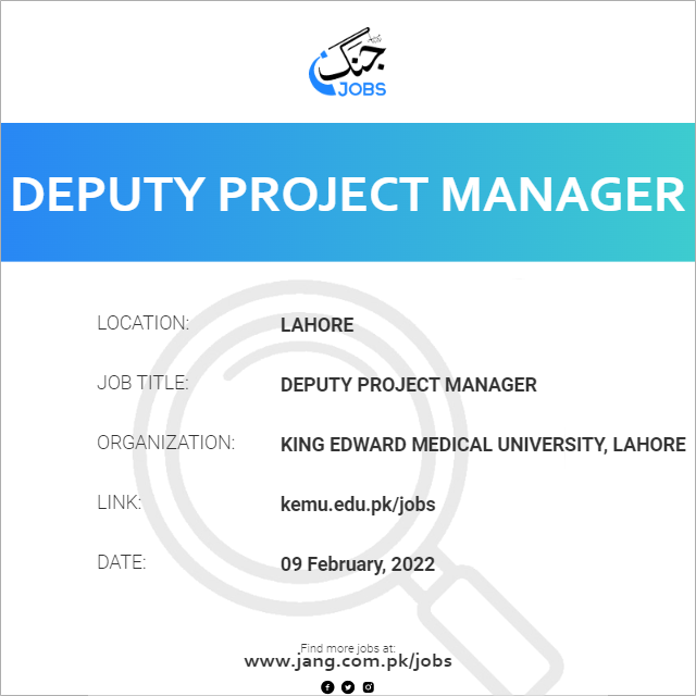 Deputy Project Manager