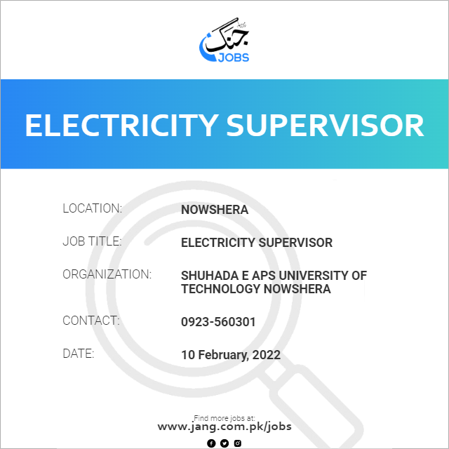 Electricity Supervisor