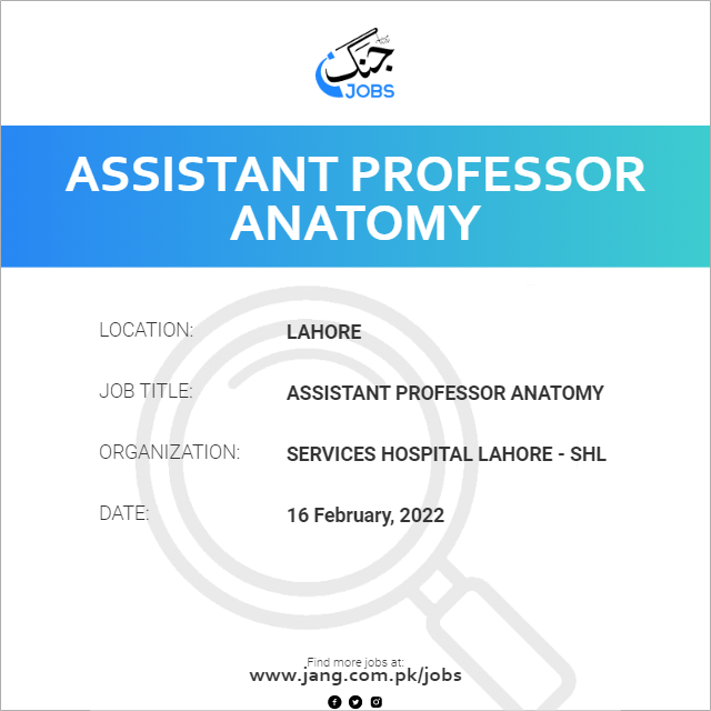 Assistant Professor Anatomy