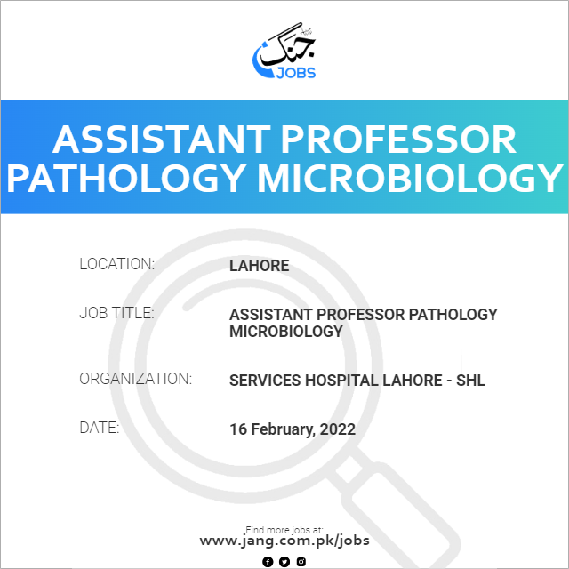 Assistant Professor Pathology Microbiology