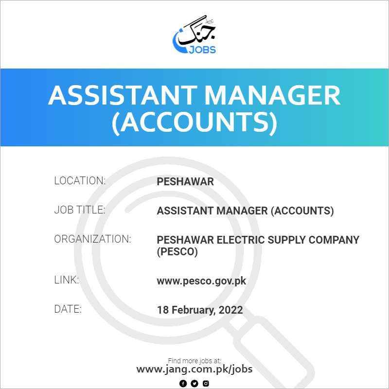 Assistant Manager (Accounts)