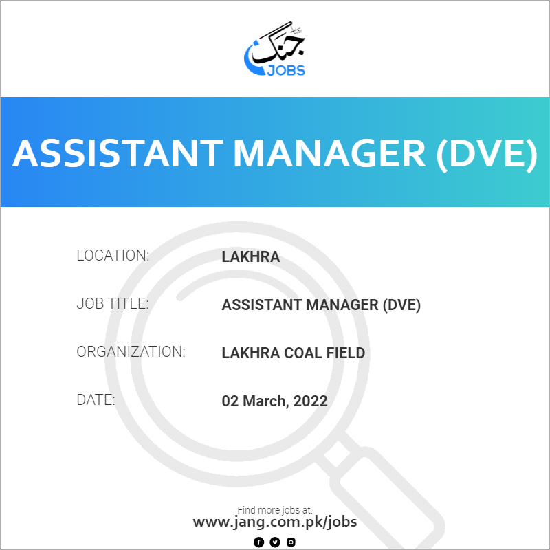 Assistant Manager (DVE)