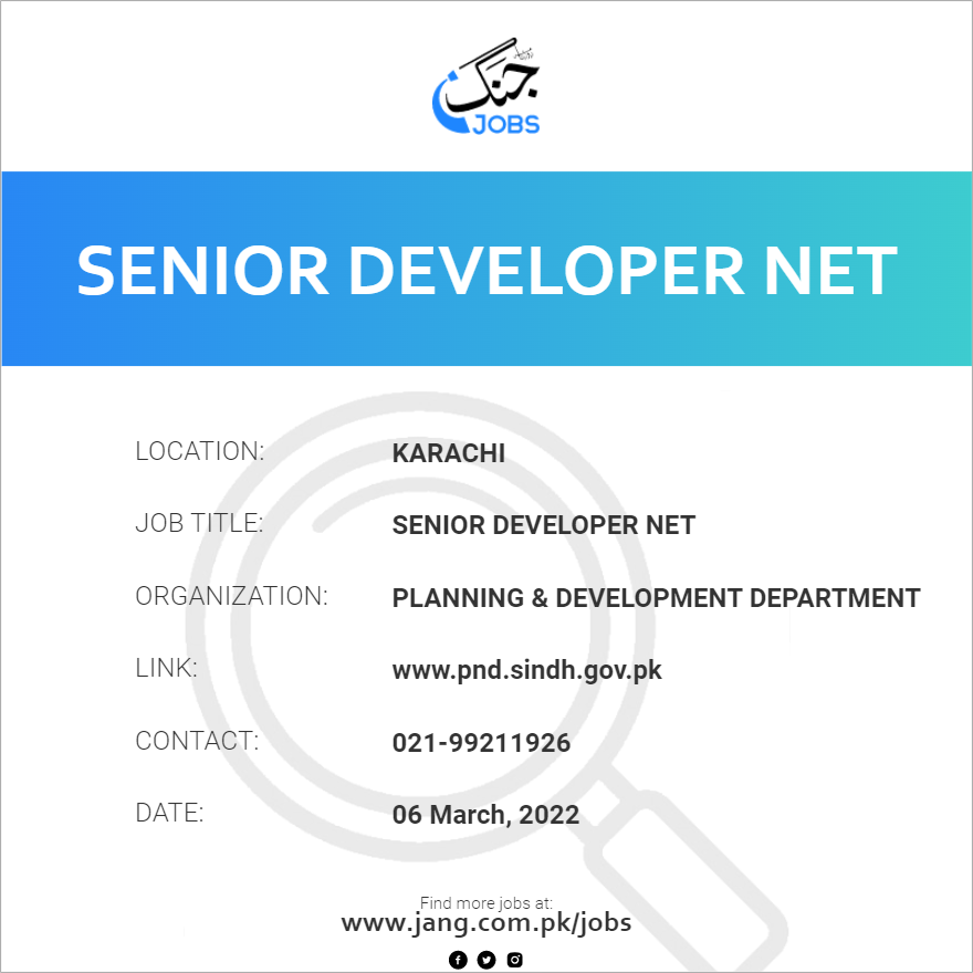 Senior Developer NET