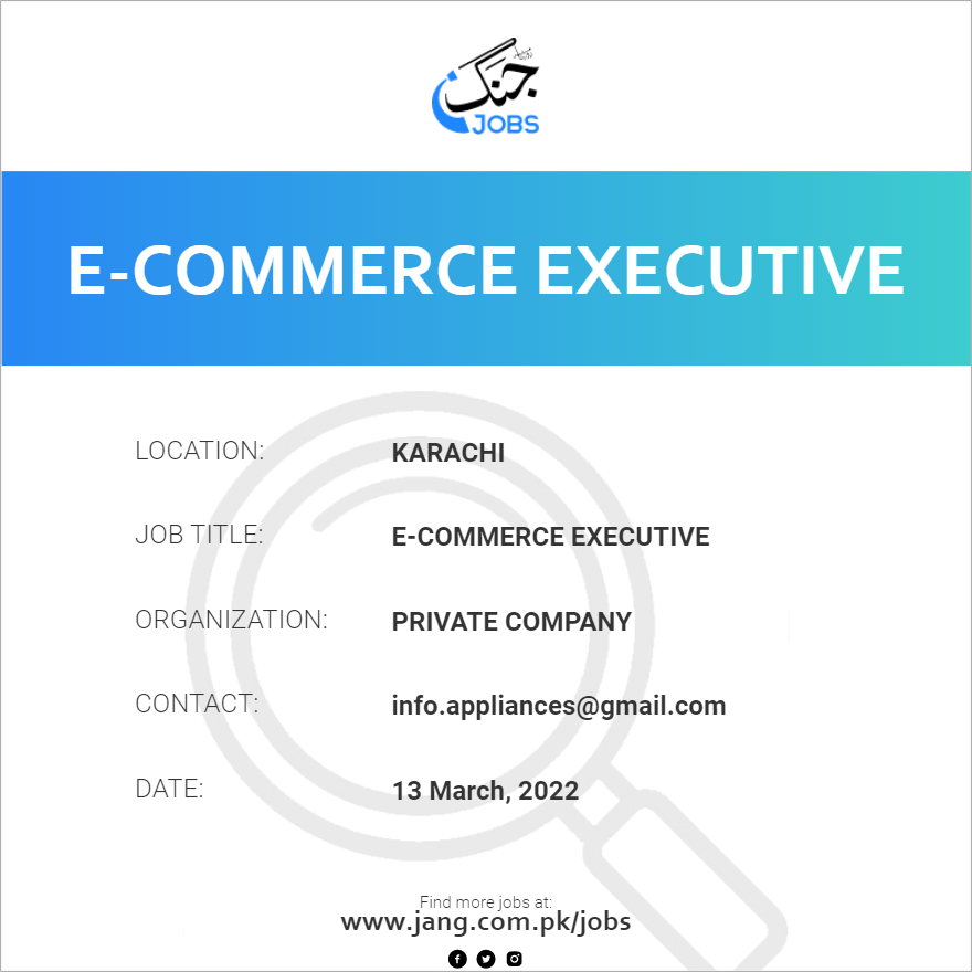 E Commerce Executive Job Requirements