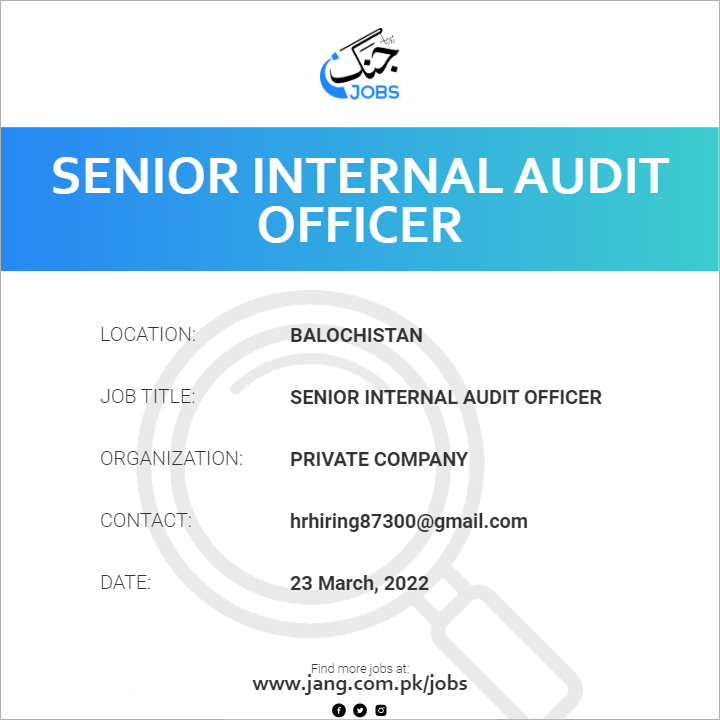 Junior Internal Audit Officer Job Description