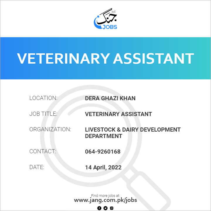 Veterinary Assistant