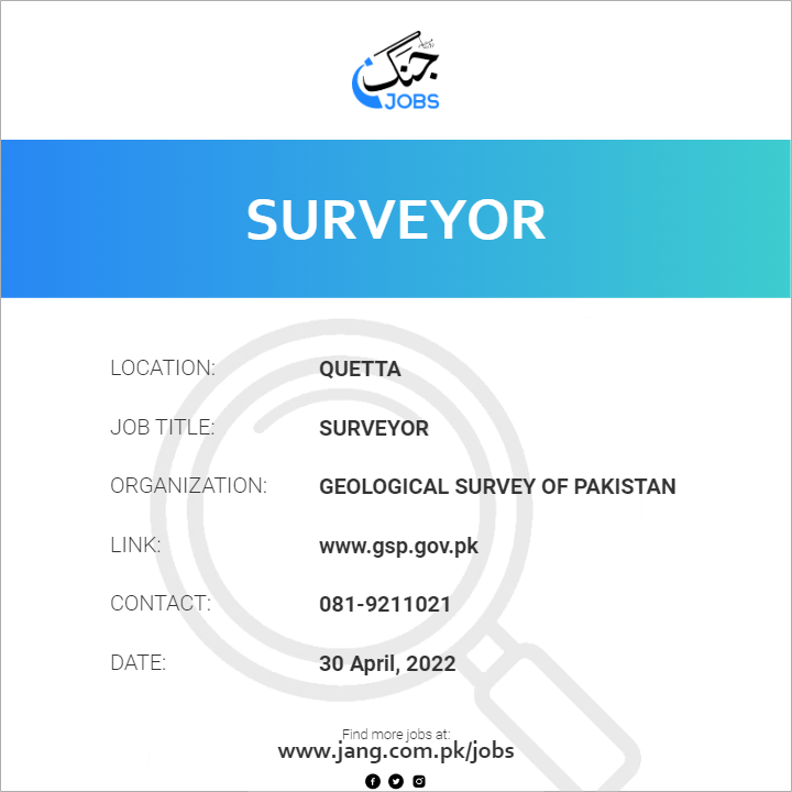 Surveyor