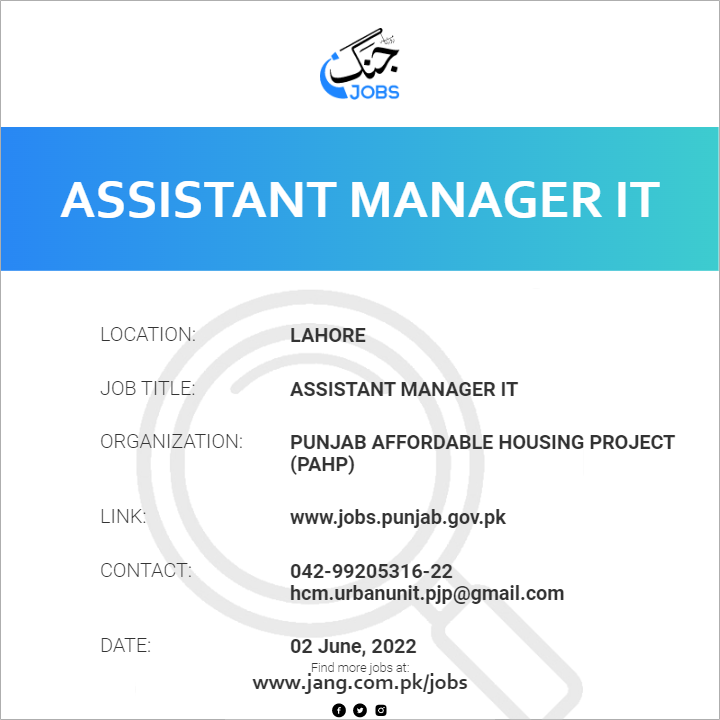 Assistant Manager IT