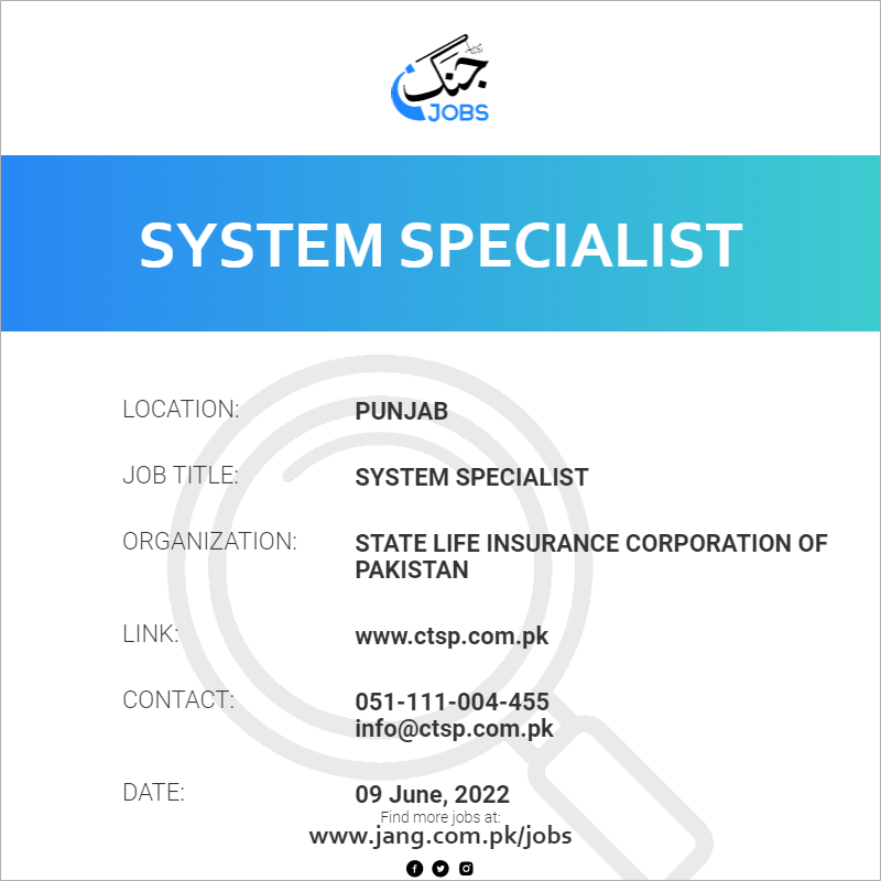 Functional System Specialist Job Description