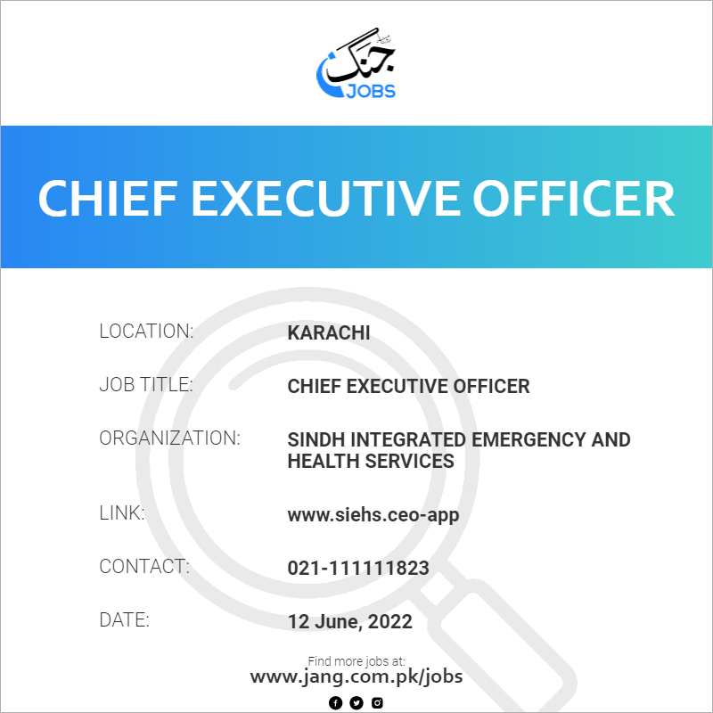 Chief Executive Officer