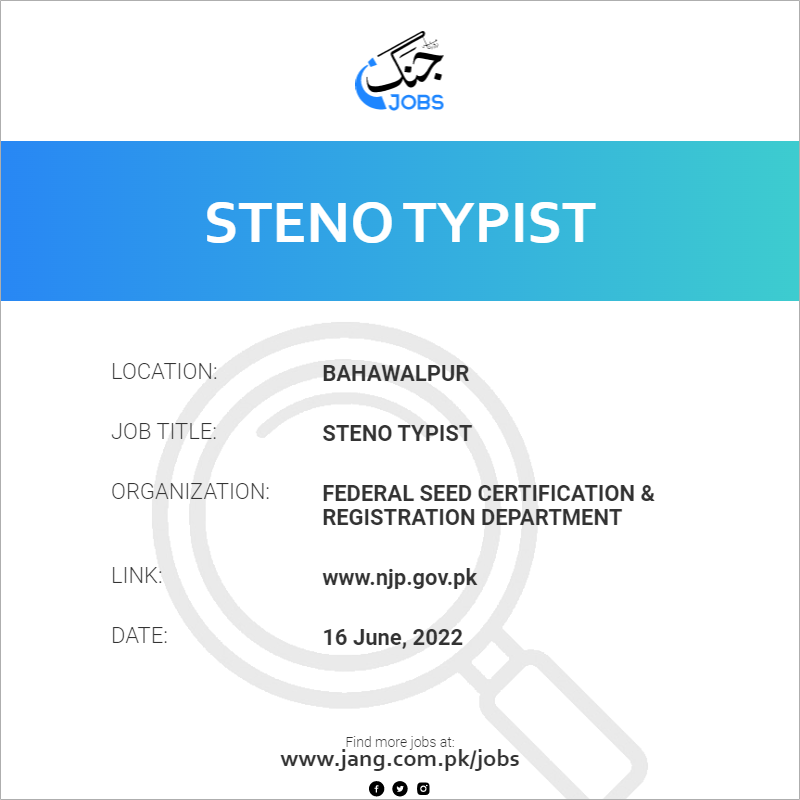 Steno Typist