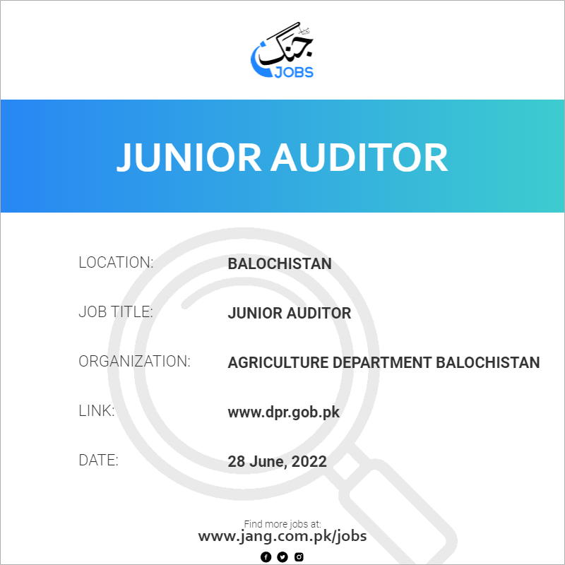 Junior Auditor