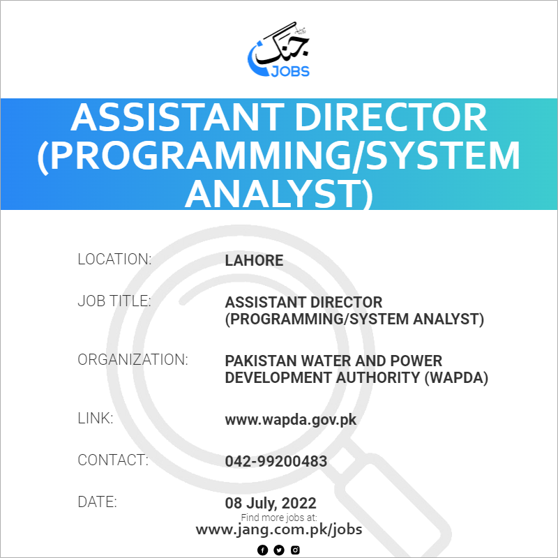 Assistant Director (Programming/System Analyst)