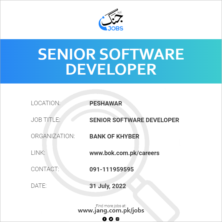 Senior Software Developer