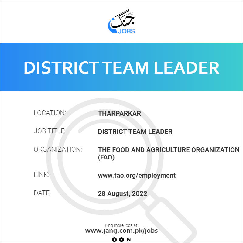District Team Leader