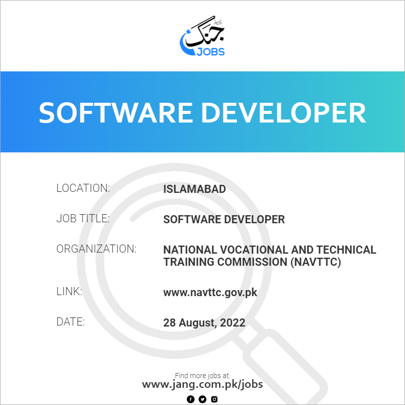 Software Developer