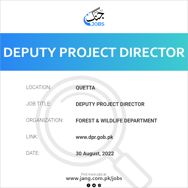 Deputy Project Director