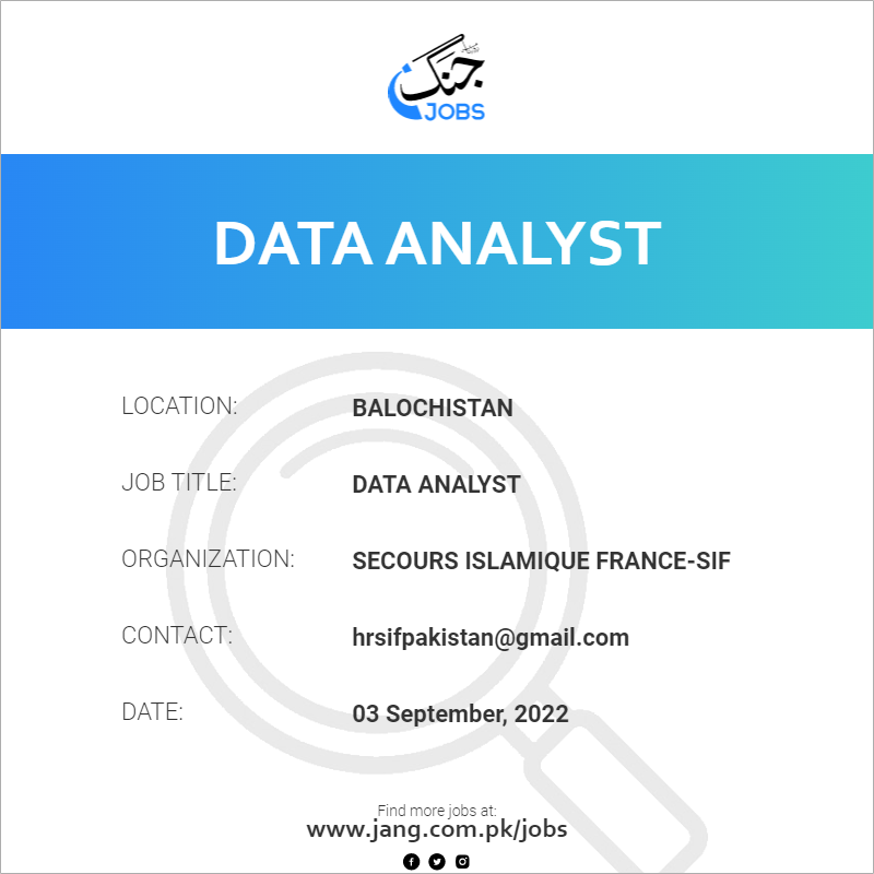 Data Analyst