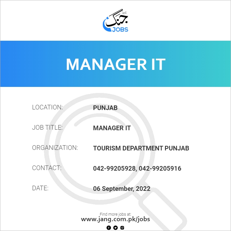 Manager IT