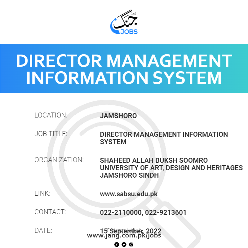 Director Management Information System