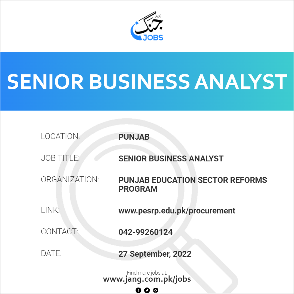 Senior Business Analyst