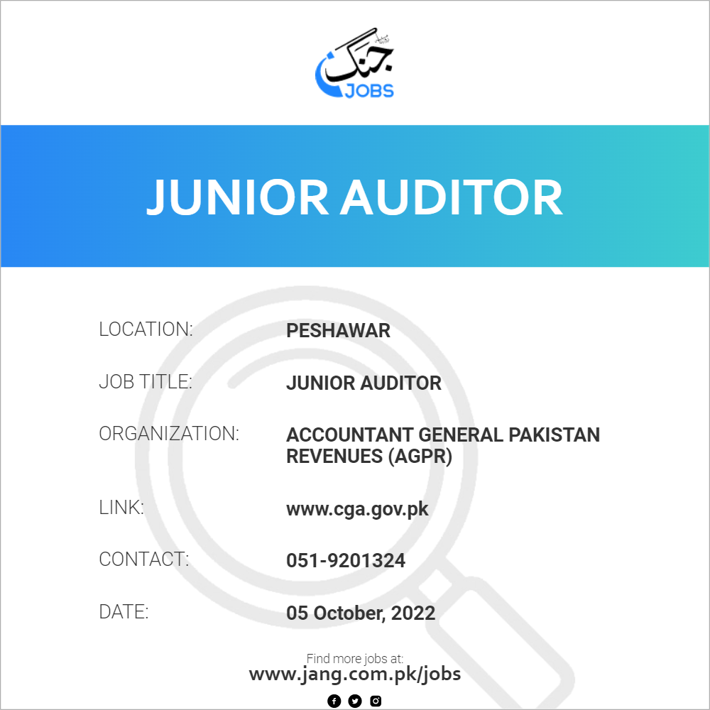 Junior Auditor