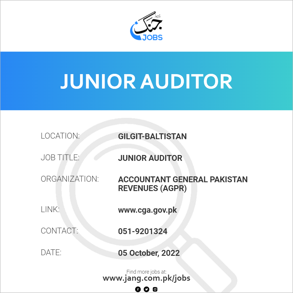 Junior Auditor