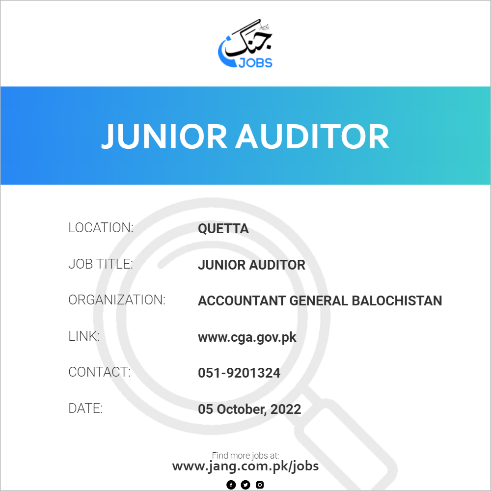 Junior Auditor