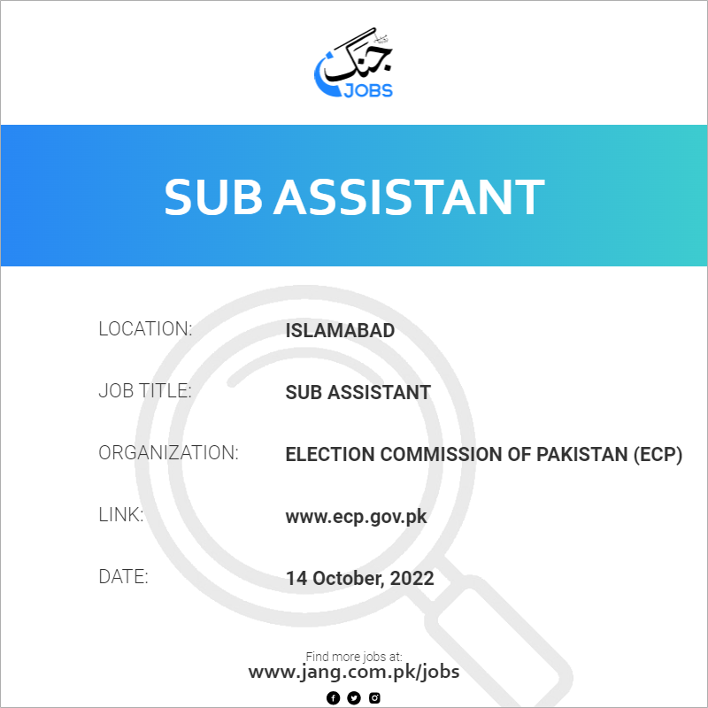 Sub Assistant
