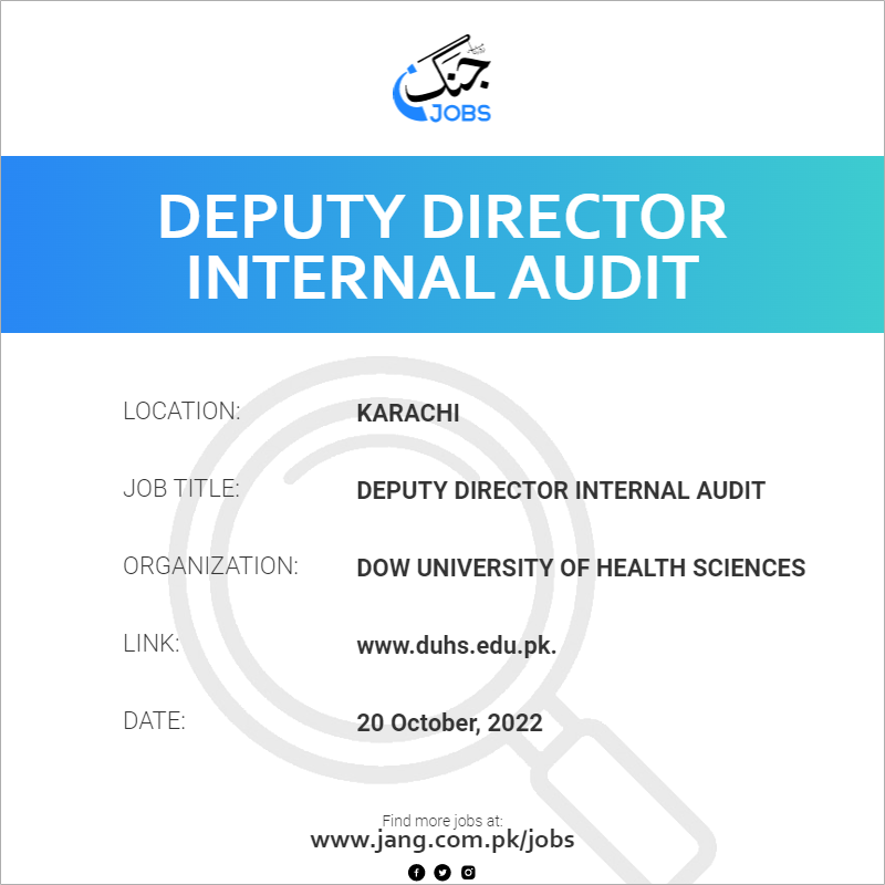 Deputy Director Internal Audit 